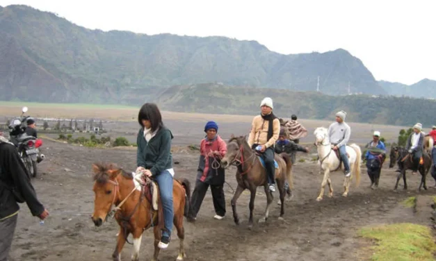 Kasus Pencurian Koper Turis Thailand Bikin Kunjungan Ke Bromo Turun?