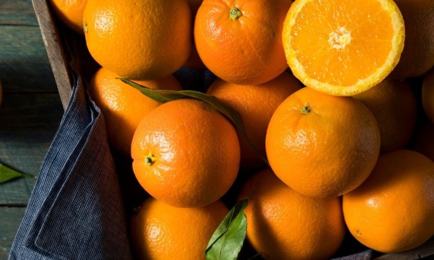 Buah Citrus Tinggi Asam, Benarkah Bisa Ganggu Lambung?